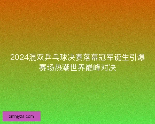 2024混双乒乓球决赛落幕冠军诞生引爆赛场热潮世界巅峰对决