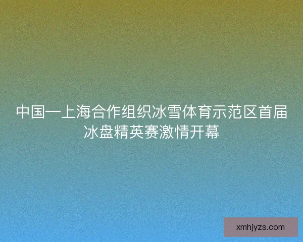 中国—上海合作组织冰雪体育示范区首届冰盘精英赛激情开幕