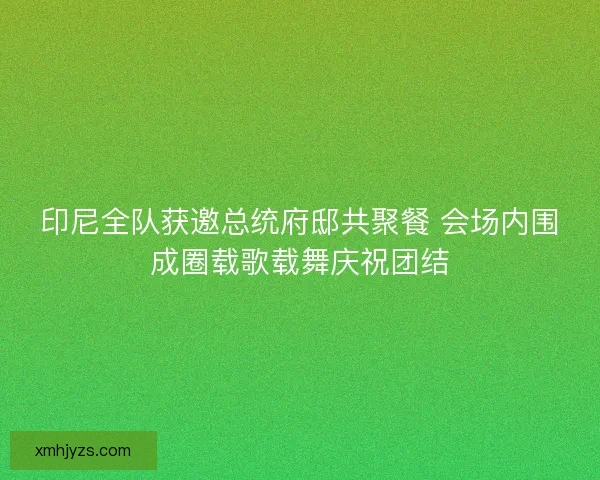印尼全队获邀总统府邸共聚餐 会场内围成圈载歌载舞庆祝团结