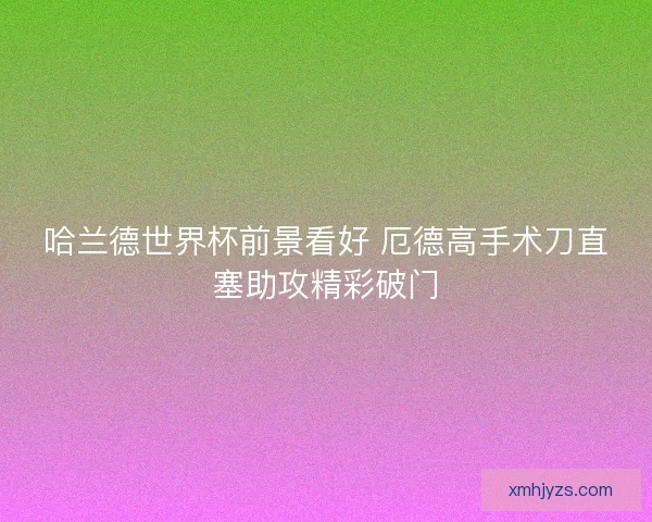哈兰德世界杯前景看好 厄德高手术刀直塞助攻精彩破门